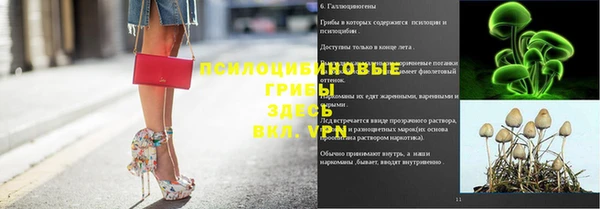 ПСИЛОЦИБИНОВЫЕ ГРИБЫ Баксан