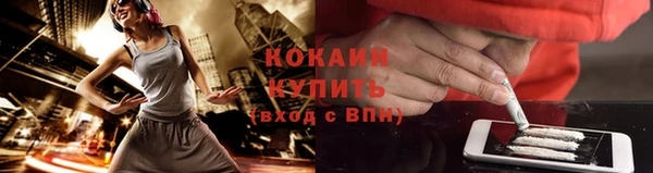 ПСИЛОЦИБИНОВЫЕ ГРИБЫ Баксан