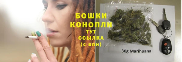 ПСИЛОЦИБИНОВЫЕ ГРИБЫ Баксан