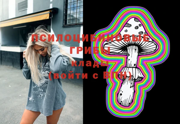 ПСИЛОЦИБИНОВЫЕ ГРИБЫ Баксан