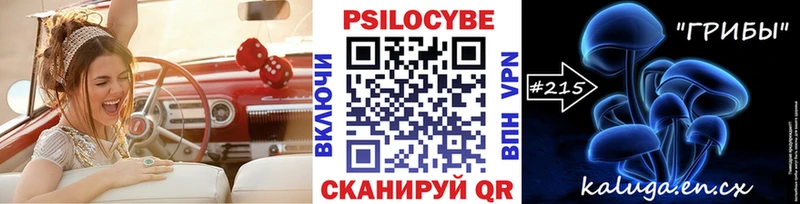 купить закладку  Вязьма  Псилоцибиновые грибы мухоморы 