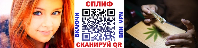 даркнет наркотические препараты  Вязьма  Шишки марихуана планчик 